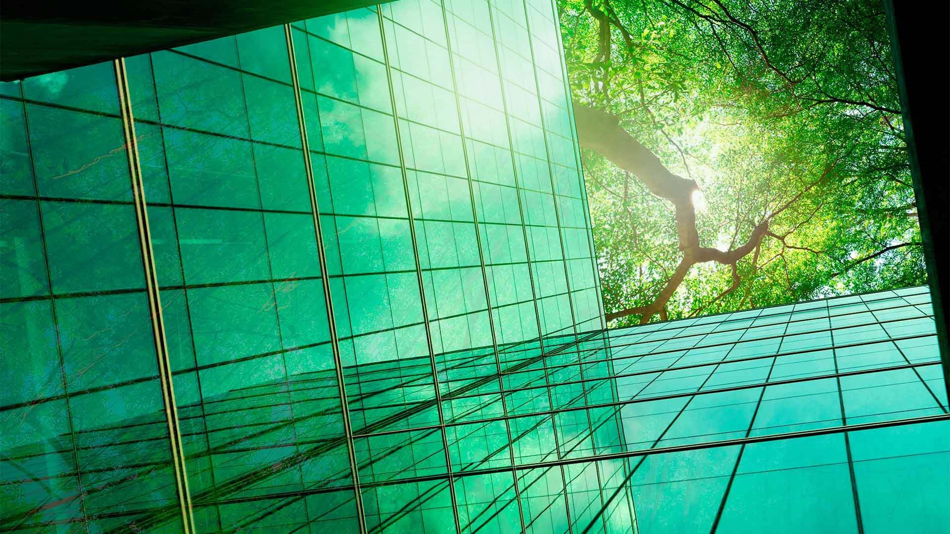 Photo d'un bâtiment en verre prise depuis le bas, avec des arbres couvrant le ciel et les rayons du soleil qui passent à travers.